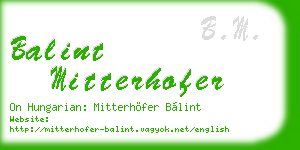 balint mitterhofer business card