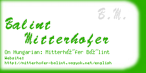 balint mitterhofer business card